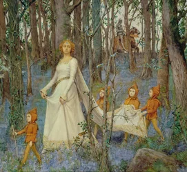 Le bois des fées